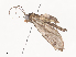  ( - CBG-A36878-A08)  @11 [ ] CreativeCommons - Attribution Share - Alike (2024) CBG Photography Group Centre for Biodiversity Genomics