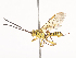 ( - CBG-A44295-F05)  @11 [ ] CreativeCommons - Attribution Share - Alike (2024) CBG Photography Group Centre for Biodiversity Genomics