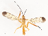  ( - CBG-A44296-C01)  @11 [ ] CreativeCommons - Attribution Share - Alike (2024) CBG Photography Group Centre for Biodiversity Genomics