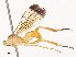  ( - CBG-A44296-E09)  @11 [ ] CreativeCommons - Attribution Share - Alike (2024) CBG Photography Group Centre for Biodiversity Genomics
