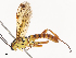  ( - CBG-A44296-G07)  @11 [ ] CreativeCommons - Attribution Share - Alike (2024) CBG Photography Group Centre for Biodiversity Genomics