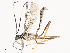  ( - CBG-A45153-E04)  @11 [ ] CreativeCommons - Attribution Share - Alike (2024) CBG Photography Group Centre for Biodiversity Genomics