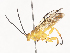  ( - CBG-A40224-C02)  @11 [ ] CreativeCommons - Attribution Share - Alike (2024) CBG Photography Group Centre for Biodiversity Genomics