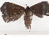  ( - CBG-A40224-C06)  @11 [ ] CreativeCommons - Attribution Share - Alike (2024) CBG Photography Group Centre for Biodiversity Genomics