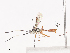  ( - CBG-A41817-C05)  @11 [ ] CreativeCommons - Attribution Share - Alike (2024) CBG Photography Group Centre for Biodiversity Genomics