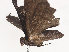  ( - CBG-A41817-G01)  @11 [ ] CreativeCommons - Attribution Share - Alike (2024) CBG Photography Group Centre for Biodiversity Genomics