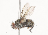  ( - CBG-A41841-E02)  @11 [ ] CreativeCommons - Attribution Share - Alike (2024) CBG Photography Group Centre for Biodiversity Genomics