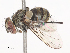 ( - CBG-A41841-E07)  @11 [ ] CreativeCommons - Attribution Share - Alike (2024) CBG Photography Group Centre for Biodiversity Genomics