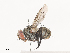  ( - CBG-A41841-G01)  @11 [ ] CreativeCommons - Attribution Share - Alike (2024) CBG Photography Group Centre for Biodiversity Genomics