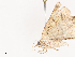  ( - CBG-A40150-A04)  @11 [ ] CreativeCommons - Attribution Share - Alike (2024) CBG Photography Group Centre for Biodiversity Genomics