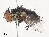  ( - CBG-A40152-A04)  @11 [ ] CreativeCommons - Attribution Share - Alike (2024) CBG Photography Group Centre for Biodiversity Genomics