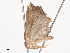  ( - CBG-A40152-B12)  @11 [ ] CreativeCommons - Attribution Share - Alike (2024) CBG Photography Group Centre for Biodiversity Genomics