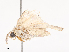  ( - CBG-A40152-C11)  @11 [ ] CreativeCommons - Attribution Share - Alike (2024) CBG Photography Group Centre for Biodiversity Genomics