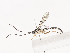  ( - CBG-A40213-C06)  @11 [ ] CreativeCommons - Attribution Share - Alike (2024) CBG Photography Group Centre for Biodiversity Genomics