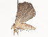  ( - CBG-A41809-B01)  @11 [ ] CreativeCommons - Attribution Share - Alike (2024) CBG Photography Group Centre for Biodiversity Genomics