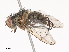  ( - CBG-A44314-C12)  @11 [ ] CreativeCommons - Attribution Share - Alike (2024) CBG Photography Group Centre for Biodiversity Genomics