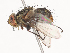  ( - CBG-A44314-D01)  @11 [ ] CreativeCommons - Attribution Share - Alike (2024) CBG Photography Group Centre for Biodiversity Genomics