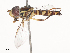  ( - CBG-A44314-E05)  @11 [ ] CreativeCommons - Attribution Share - Alike (2024) CBG Photography Group Centre for Biodiversity Genomics