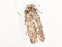  ( - CBG-A44315-B04)  @11 [ ] CreativeCommons - Attribution Share - Alike (2024) CBG Photography Group Centre for Biodiversity Genomics