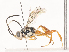  ( - CBG-A44315-C02)  @11 [ ] CreativeCommons - Attribution Share - Alike (2024) CBG Photography Group Centre for Biodiversity Genomics