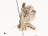  ( - CBG-A44316-F08)  @11 [ ] CreativeCommons - Attribution Share - Alike (2024) CBG Photography Group Centre for Biodiversity Genomics