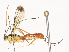  ( - CBG-A44318-F02)  @11 [ ] CreativeCommons - Attribution Share - Alike (2024) CBG Photography Group Centre for Biodiversity Genomics