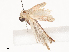  ( - CBG-A44320-F10)  @11 [ ] CreativeCommons - Attribution Share - Alike (2024) CBG Photography Group Centre for Biodiversity Genomics