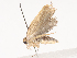  ( - CBG-A44320-F12)  @11 [ ] CreativeCommons - Attribution Share - Alike (2024) CBG Photography Group Centre for Biodiversity Genomics