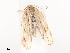  ( - CBG-A44361-C07)  @11 [ ] CreativeCommons - Attribution Share - Alike (2024) CBG Photography Group Centre for Biodiversity Genomics