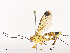  ( - CBG-A44361-D06)  @11 [ ] CreativeCommons - Attribution Share - Alike (2024) CBG Photography Group Centre for Biodiversity Genomics