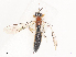  ( - CBG-A44409-C10)  @11 [ ] CreativeCommons - Attribution Share - Alike (2024) CBG Photography Group Centre for Biodiversity Genomics