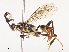  ( - CBG-A44410-A02)  @11 [ ] CreativeCommons - Attribution Share - Alike (2024) CBG Photography Group Centre for Biodiversity Genomics
