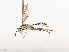  ( - CBG-A41766-H02)  @11 [ ] CreativeCommons - Attribution Share - Alike (2024) CBG Photography Group Centre for Biodiversity Genomics