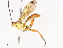  ( - CBG-A44290-A12)  @11 [ ] CreativeCommons - Attribution Share - Alike (2024) CBG Photography Group Centre for Biodiversity Genomics