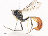  ( - CBG-A44290-D03)  @11 [ ] CreativeCommons - Attribution Share - Alike (2024) CBG Photography Group Centre for Biodiversity Genomics