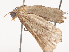  ( - CBG-A44291-C10)  @11 [ ] CreativeCommons - Attribution Share - Alike (2024) CBG Photography Group Centre for Biodiversity Genomics