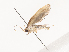  ( - CBG-A41777-C01)  @11 [ ] CreativeCommons - Attribution Share - Alike (2024) CBG Photography Group Centre for Biodiversity Genomics