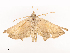  ( - CBG-A41777-F06)  @11 [ ] CreativeCommons - Attribution Share - Alike (2024) CBG Photography Group Centre for Biodiversity Genomics