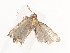  ( - CBG-A41778-G02)  @11 [ ] CreativeCommons - Attribution Share - Alike (2024) CBG Photography Group Centre for Biodiversity Genomics