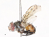  ( - CBG-A41778-G12)  @11 [ ] CreativeCommons - Attribution Share - Alike (2024) CBG Photography Group Centre for Biodiversity Genomics