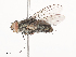  ( - CBG-A41779-B05)  @11 [ ] CreativeCommons - Attribution Share - Alike (2024) CBG Photography Group Centre for Biodiversity Genomics