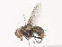  ( - CBG-A41819-E07)  @11 [ ] CreativeCommons - Attribution Share - Alike (2024) CBG Photography Group Centre for Biodiversity Genomics