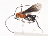  ( - CBG-A41820-D11)  @11 [ ] CreativeCommons - Attribution Share - Alike (2024) CBG Photography Group Centre for Biodiversity Genomics