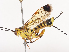  ( - CBG-A41821-C12)  @11 [ ] CreativeCommons - Attribution Share - Alike (2024) CBG Photography Group Centre for Biodiversity Genomics