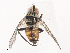  ( - CBG-A41821-E04)  @11 [ ] CreativeCommons - Attribution Share - Alike (2024) CBG Photography Group Centre for Biodiversity Genomics