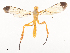  ( - CBG-A41821-F06)  @11 [ ] CreativeCommons - Attribution Share - Alike (2024) CBG Photography Group Centre for Biodiversity Genomics