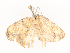  ( - CBG-A41843-F03)  @11 [ ] CreativeCommons - Attribution Share - Alike (2024) CBG Photography Group Centre for Biodiversity Genomics