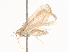  ( - CBG-A41843-H06)  @11 [ ] CreativeCommons - Attribution Share - Alike (2024) CBG Photography Group Centre for Biodiversity Genomics