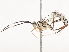  ( - CBG-A41844-B02)  @11 [ ] CreativeCommons - Attribution Share - Alike (2024) CBG Photography Group Centre for Biodiversity Genomics