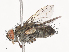  ( - CBG-A41844-G03)  @11 [ ] CreativeCommons - Attribution Share - Alike (2024) CBG Photography Group Centre for Biodiversity Genomics